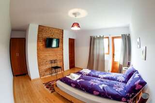 Отели типа «постель и завтрак» Landhaus Bed&Breakfast Вишеу-де-Сус Двухместный номер с 1 кроватью и балконом-5